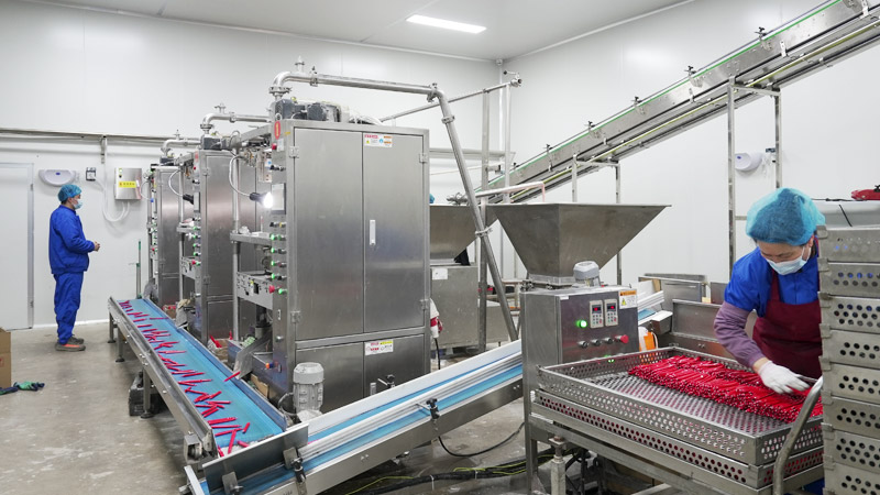 彩王争霸宠物火腿肠生产线