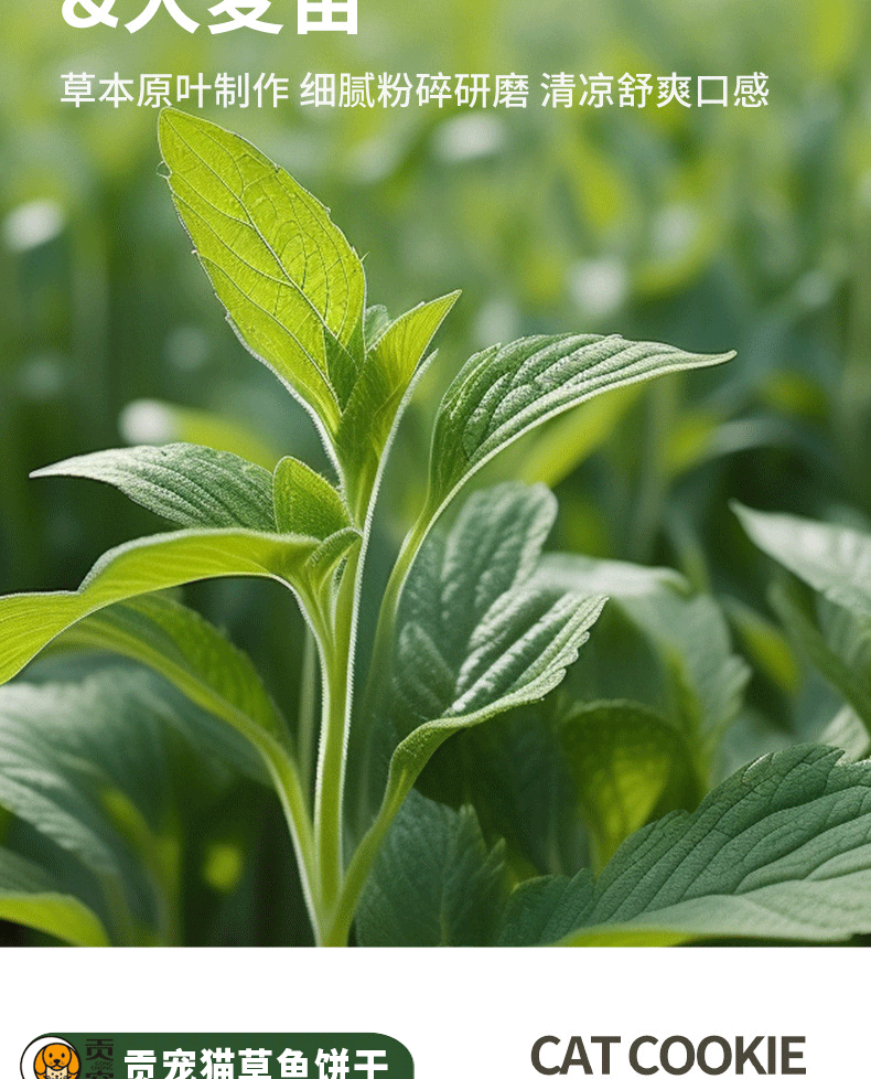 彩王争霸·(中国游)有限公司官网